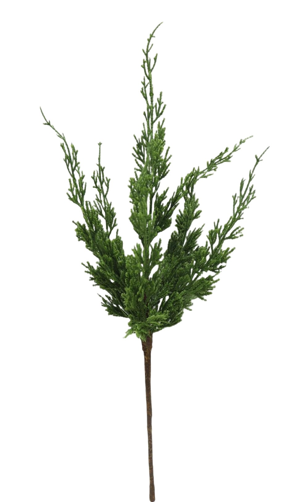 Cedar Spray 47cm