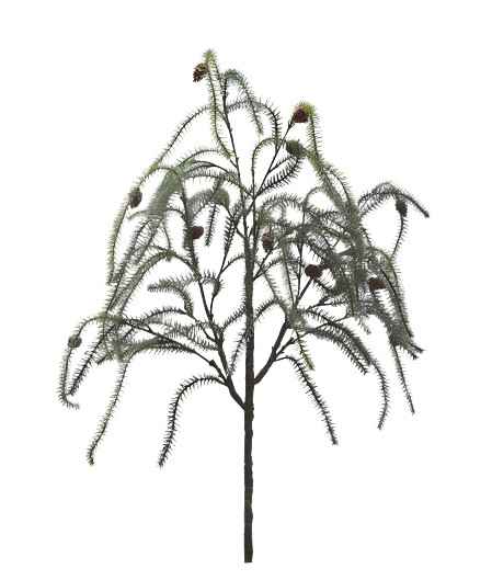 Snowy Pine Branch With Cones 108cm