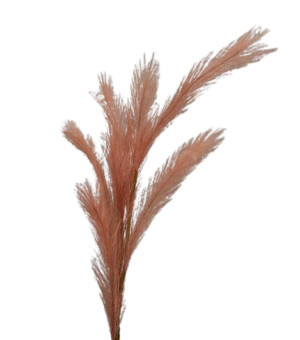 Artificial Pampas Spray 68cm Coral