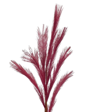 Artificial Pampas Spray 68cm Dk Pink