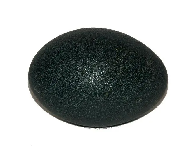 Emu Egg Natural - Blown