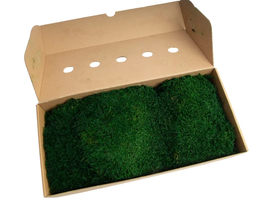 Flat Moss Preserved Moss Green