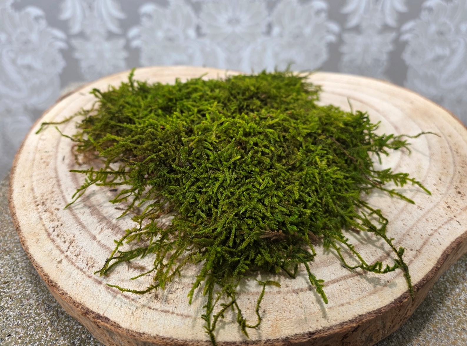 Flat Moss Preserved Spring Green