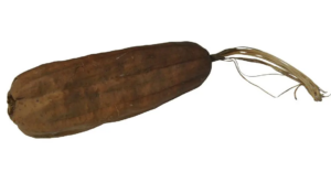Dried Luffa With Skin x 5