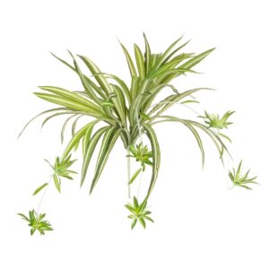 Artificial Spider Plant With Babies 43cm