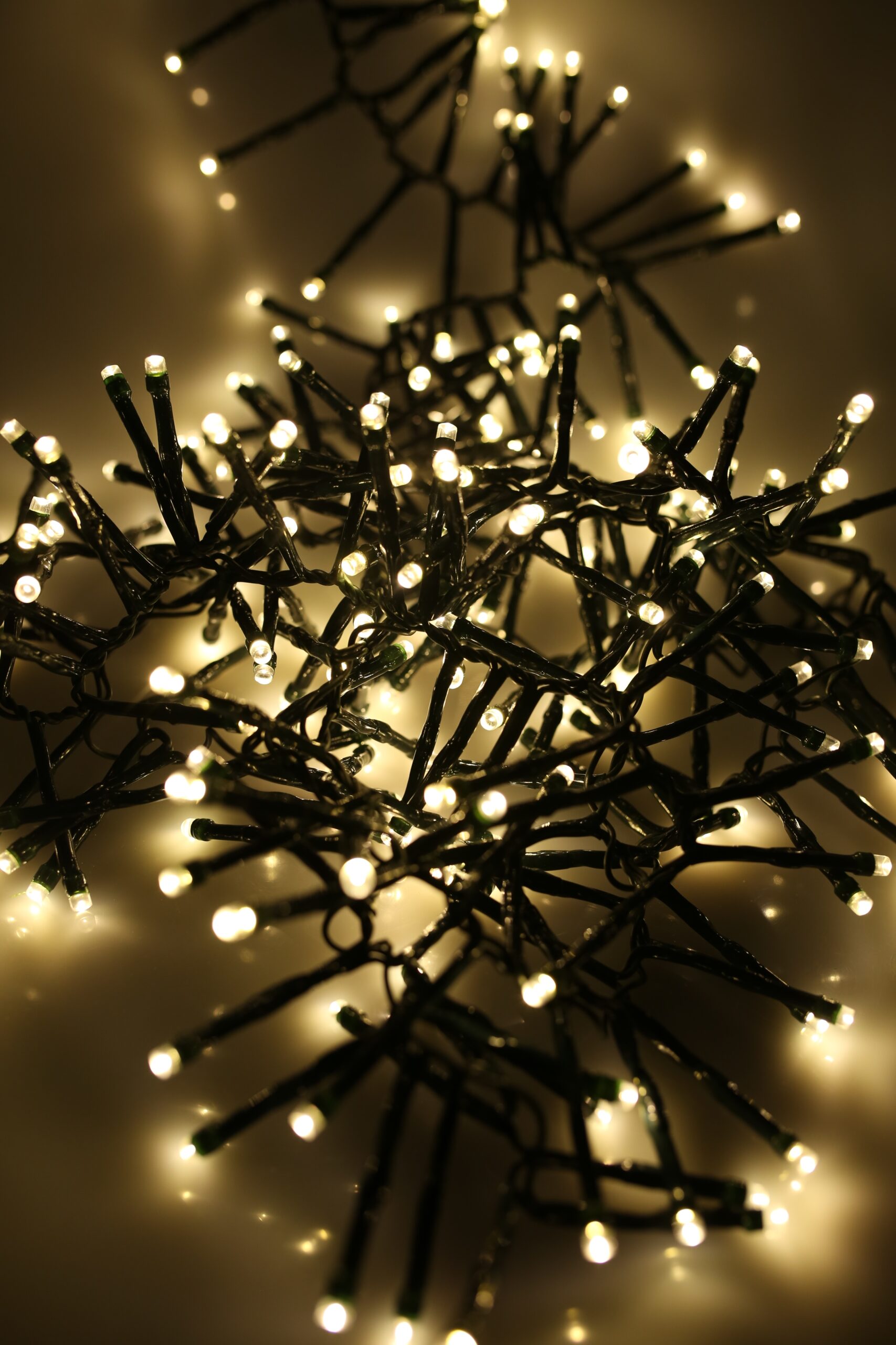 Cluster Lights Warm White 1500 Bulbs