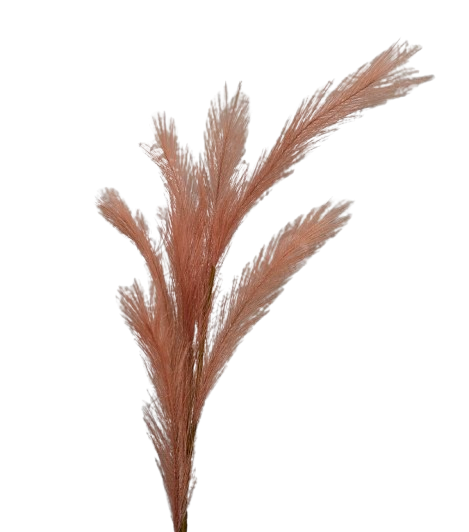 Artificial Pampas Spray 68cm Coral