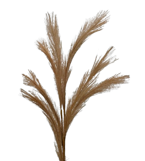 Artificial Pampas Spray 68cm Lt Brown