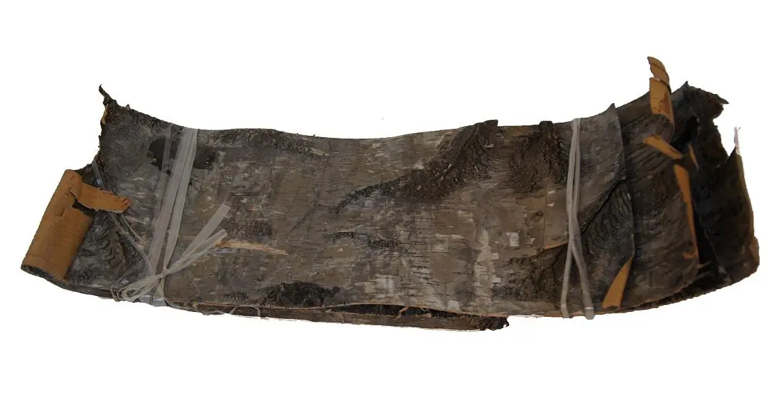 Birch Bark Natural 24 x 70cm x 5 Pieces