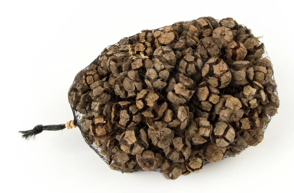 Cypresse Cones Natural x 1kg