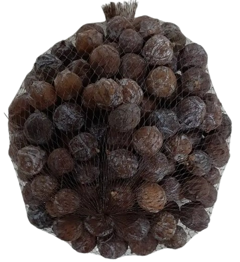 Estrelinia Cones Natural x 1kg