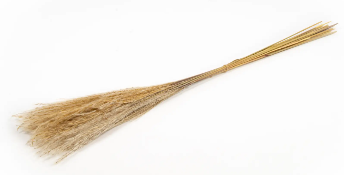 Dried Miscanthus Natural