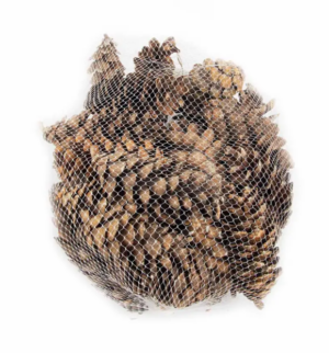 Dried Pinus Cones In Net x 500g