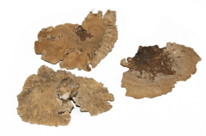 Dried Sponge Mushroom Mixed Sizes x 500g