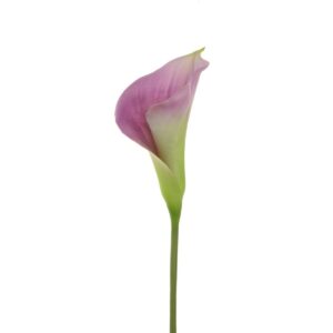 Fresh Touch Calla Lily 60cm Purple