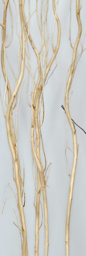 Draghair Wood (Willow) x 5 Stems App 170cm