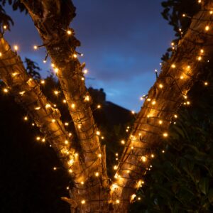 600 Fit & Forget B/O Warm White Lights